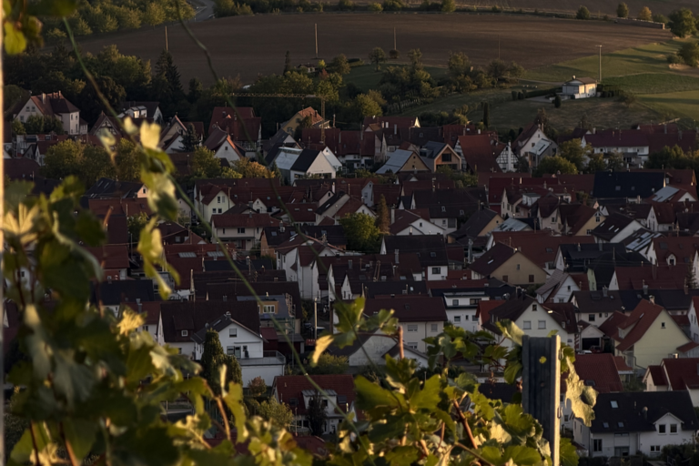 Ausblick vom Hofbühl auf Neuhausen