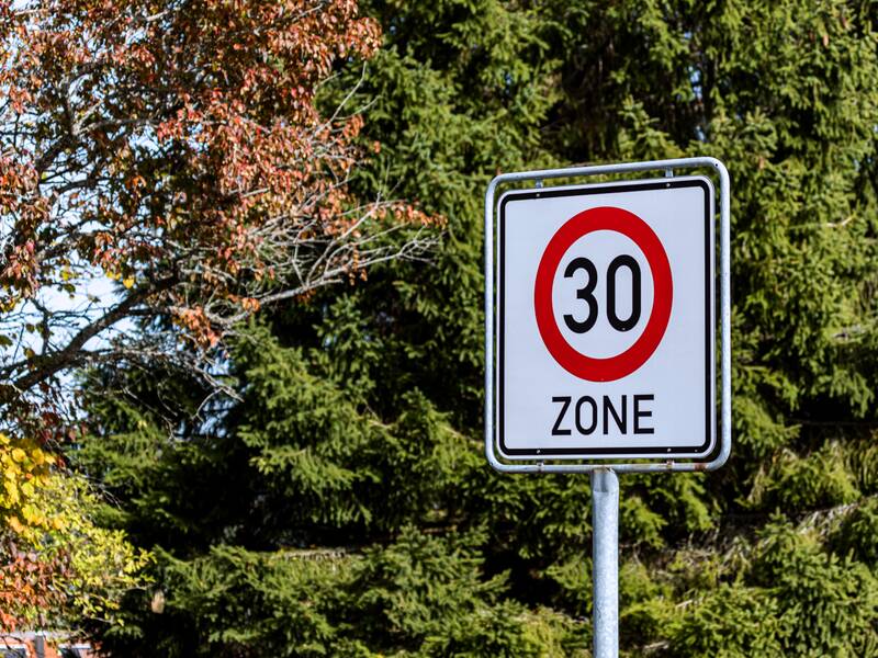 Ein Verkehrsschild, das auf den Beginn einer Tempo-30-Zone hinweist. Im Hintergrund steht eine grüne Tanne.